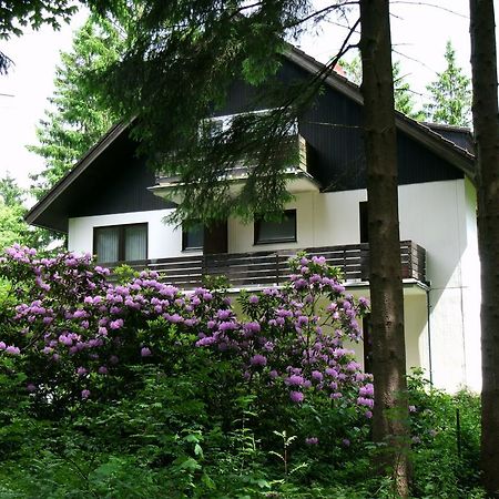 Haus Hirschmann Hotel Гослар Екстериор снимка